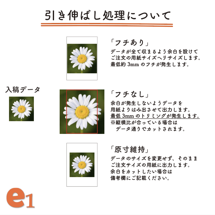 【EPSON】プロフェッショナルフォトペーパー薄手光沢 - イーワン大判プリント【最大B0サイズの大判印刷サービス】